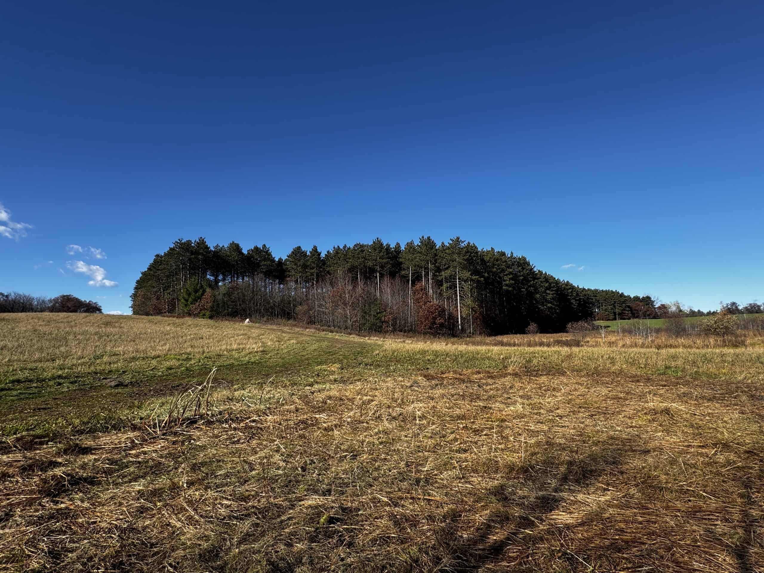 118± Acre Portage County WI Ag and Hunting Property