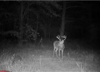 Premier Turnkey Duck & Deer Property With First Class Lodge