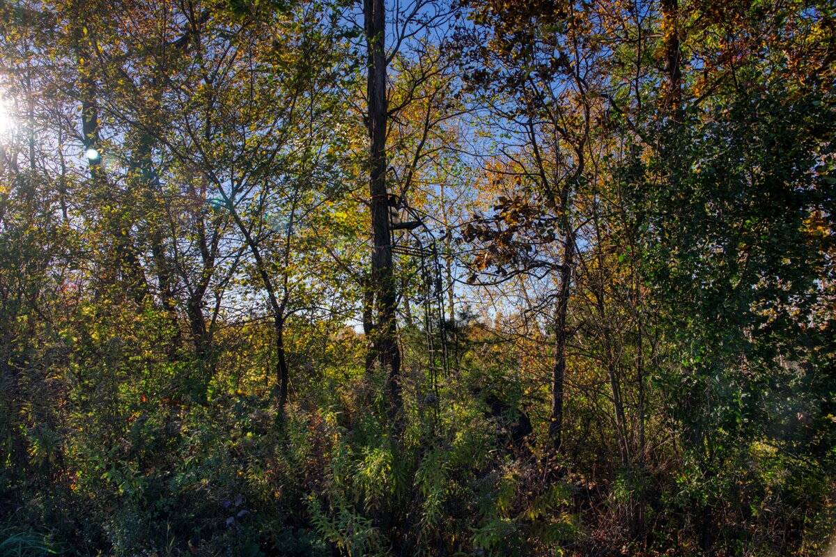 252± Acre Legacy Estate in Trempealeau County WI