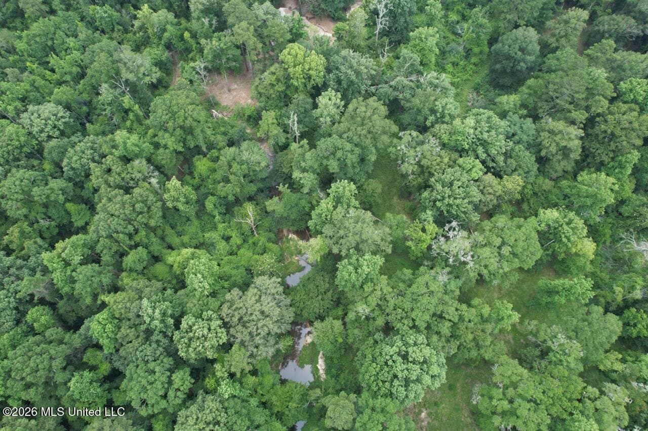 113± Acres for Sale in Osyka, MS on Tickfaw River