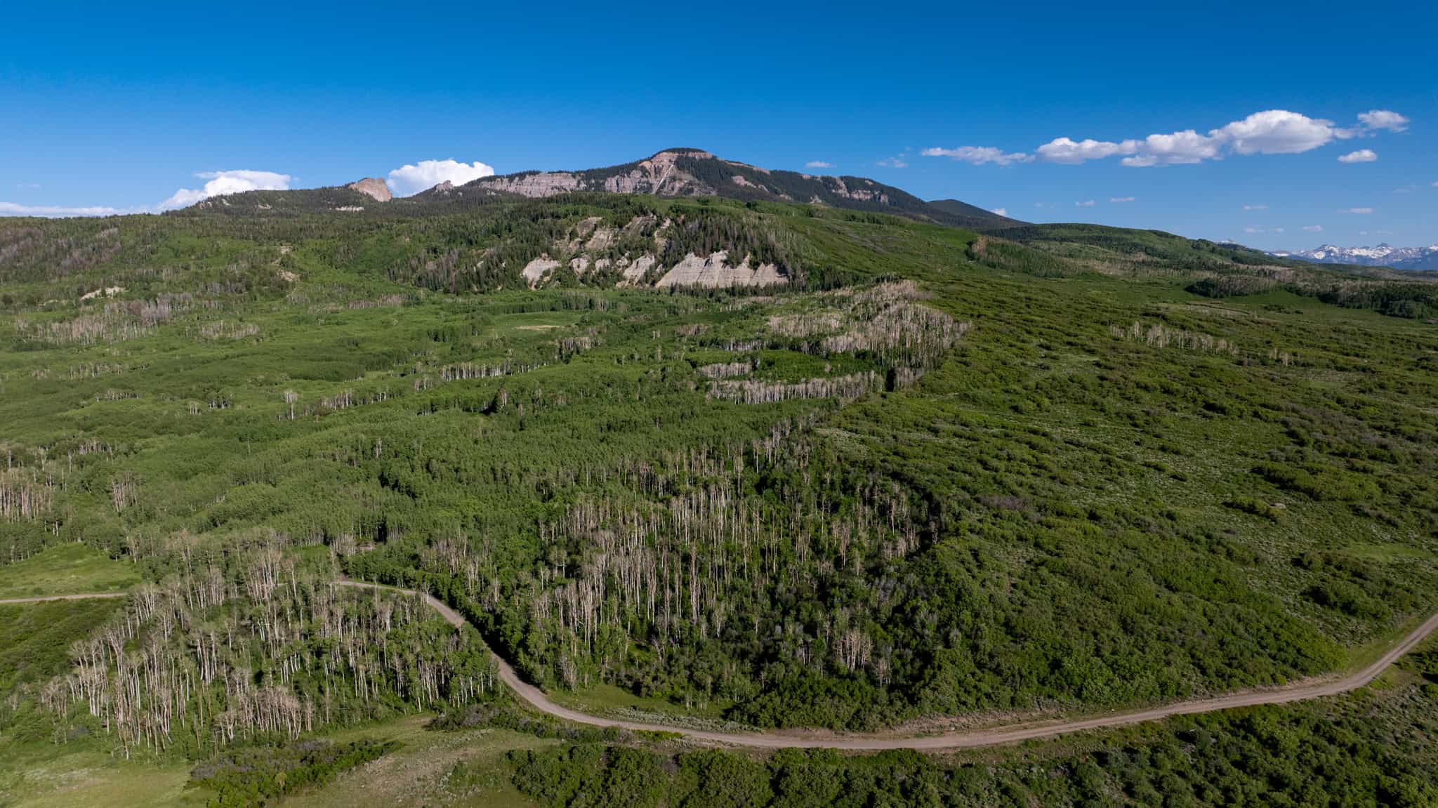 Buckhorn Lakes Ranch Investor Offering – 449± Acres of Premium Mountain Terrain for Sale