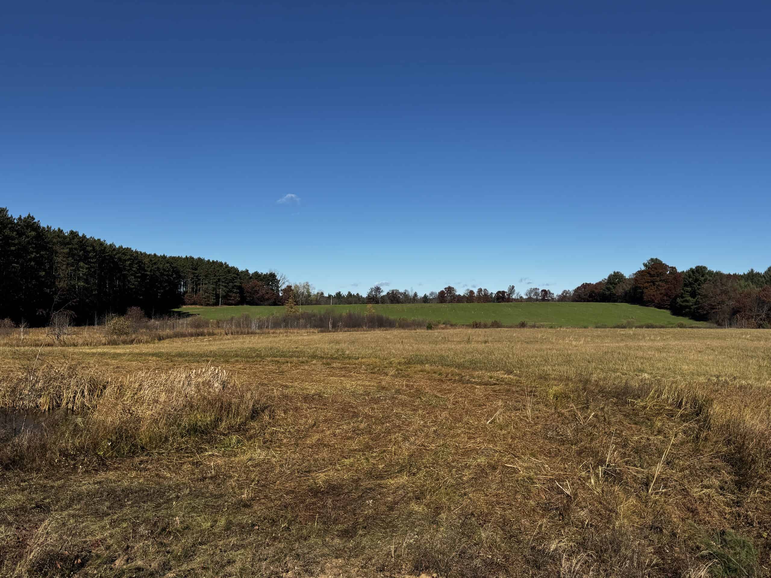 118± Acre Portage County WI Ag and Hunting Property