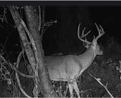 Premier Turnkey Duck & Deer Property With First Class Lodge