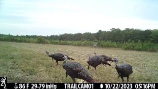 Premier Turnkey Duck & Deer Property With First Class Lodge