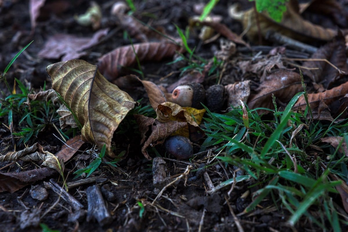 252± Acre Legacy Estate in Trempealeau County WI