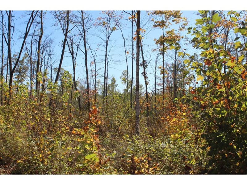 Northwoods Paradise w/ Trails & Ponds For Sale in Isle, MN