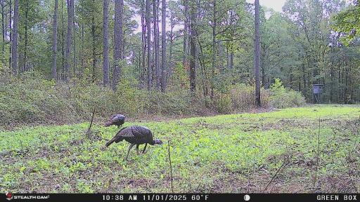 Premier Turnkey Duck & Deer Property With First Class Lodge