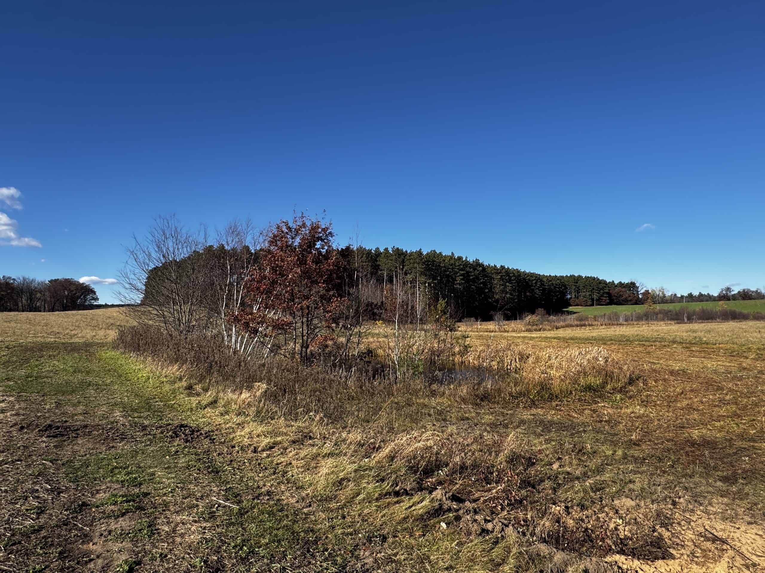 118± Acre Portage County WI Ag and Hunting Property