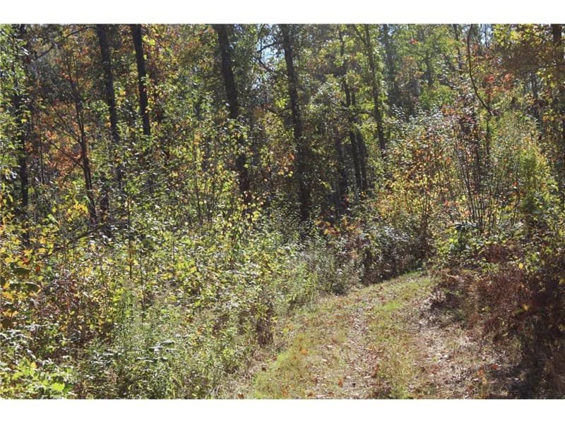 Northwoods Paradise w/ Trails & Ponds For Sale in Isle, MN