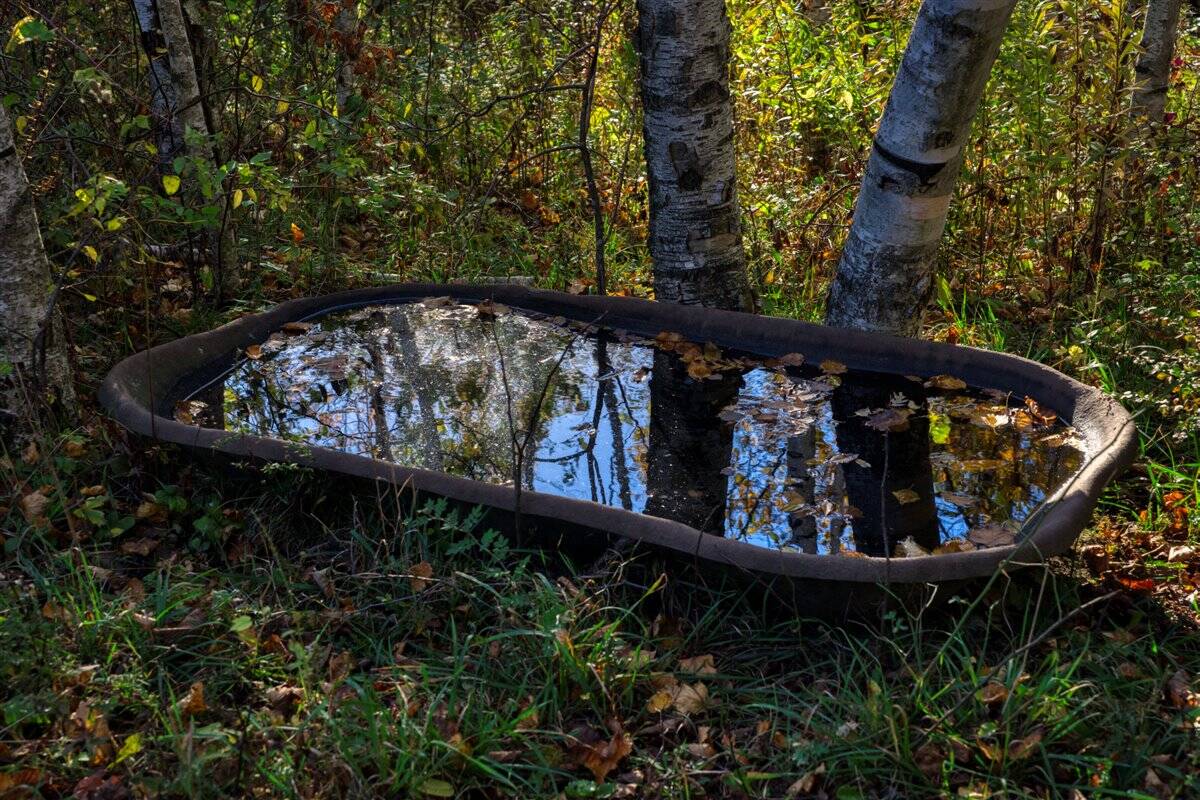 252± Acre Legacy Estate in Trempealeau County WI