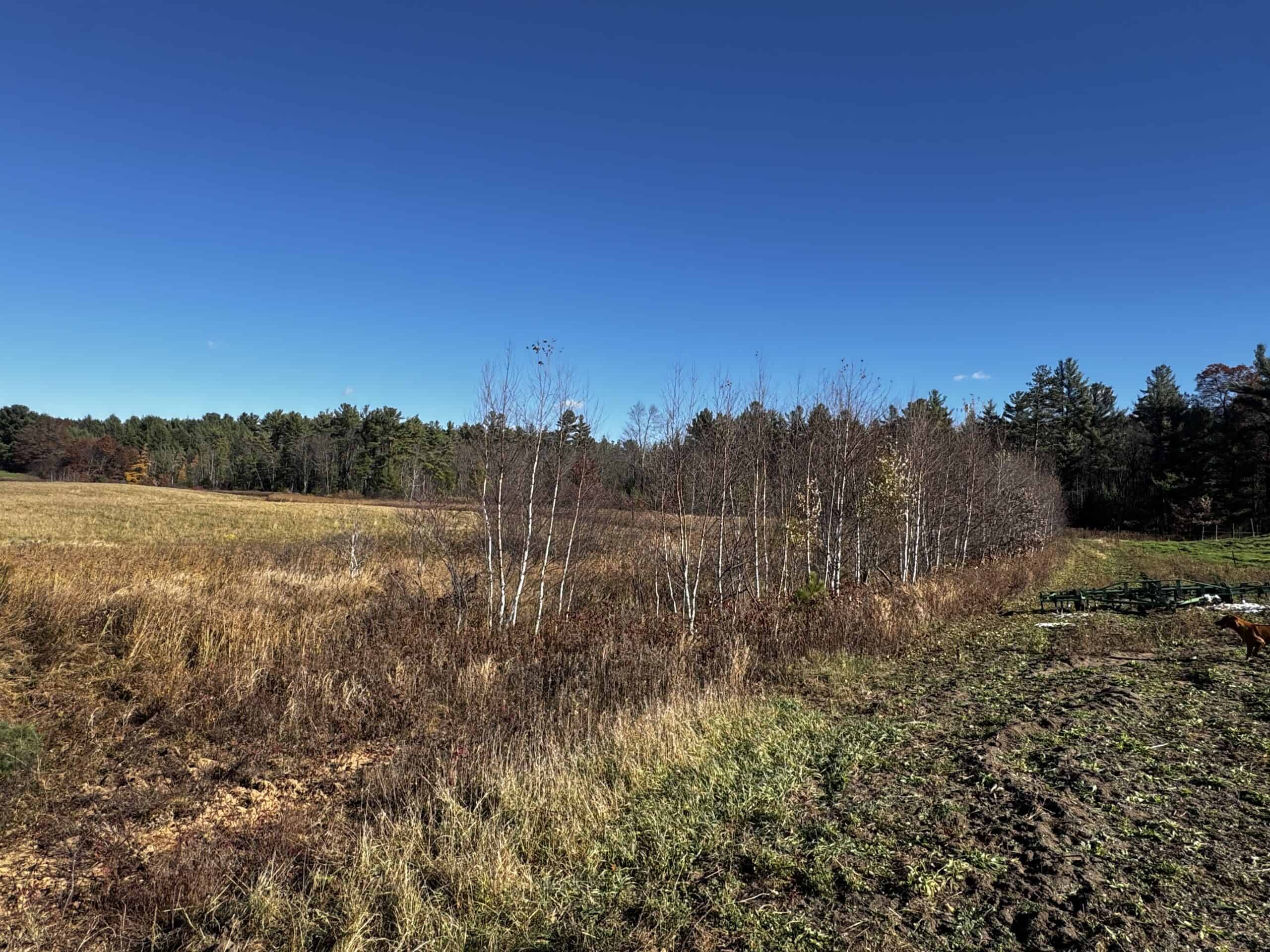 118± Acre Portage County WI Ag and Hunting Property