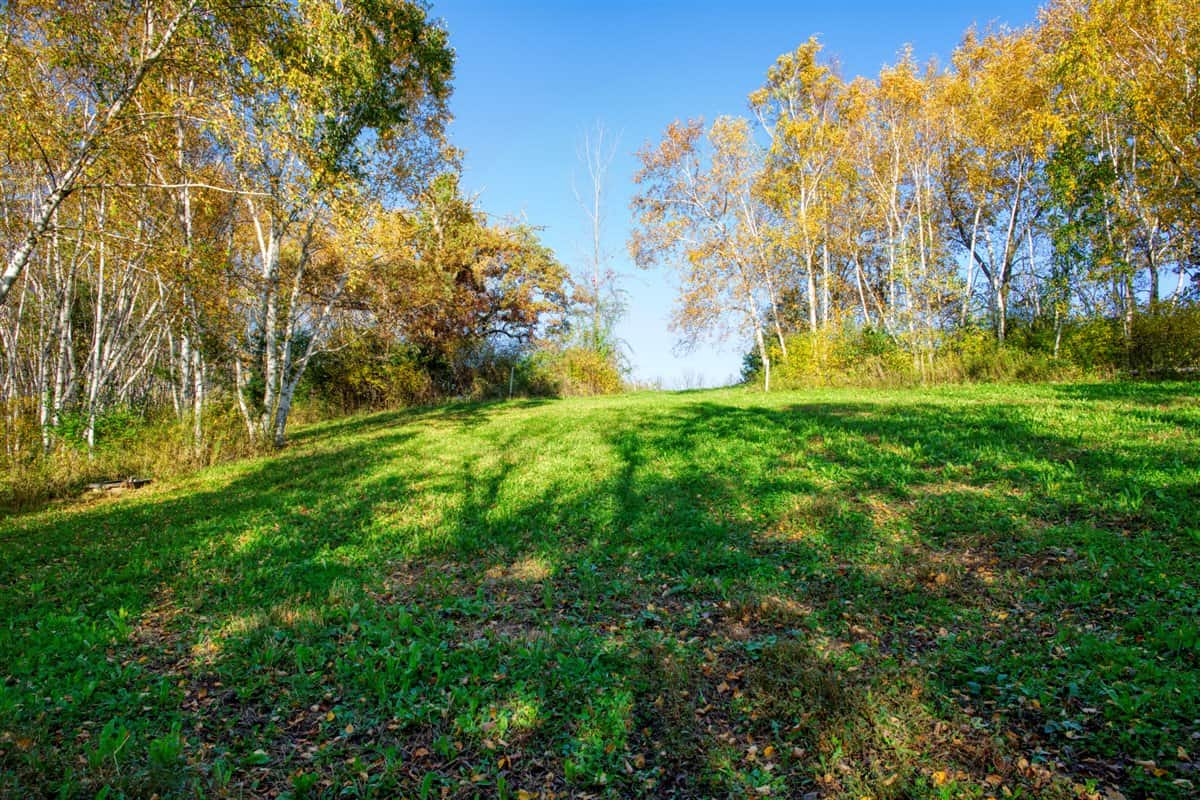 252± Acre Legacy Estate in Trempealeau County WI