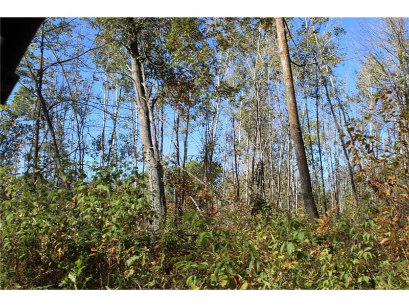 Northwoods Paradise w/ Trails & Ponds For Sale in Isle, MN