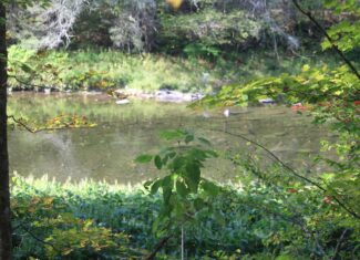 Catskills Hunting and Fishing Land For Sale in New York