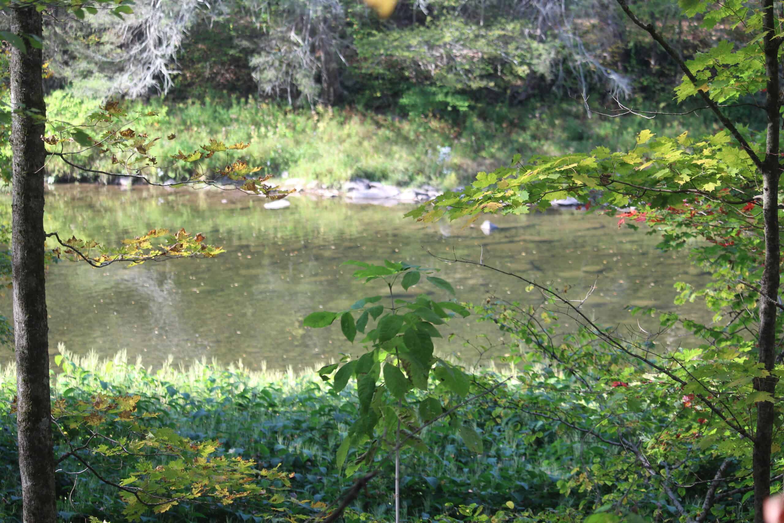 Catskills Hunting and Fishing Land For Sale in New York