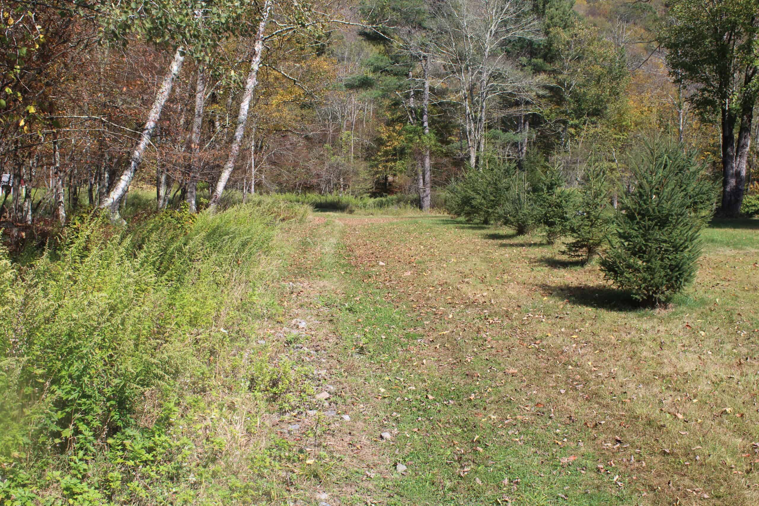 Catskills Hunting and Fishing Land For Sale in New York