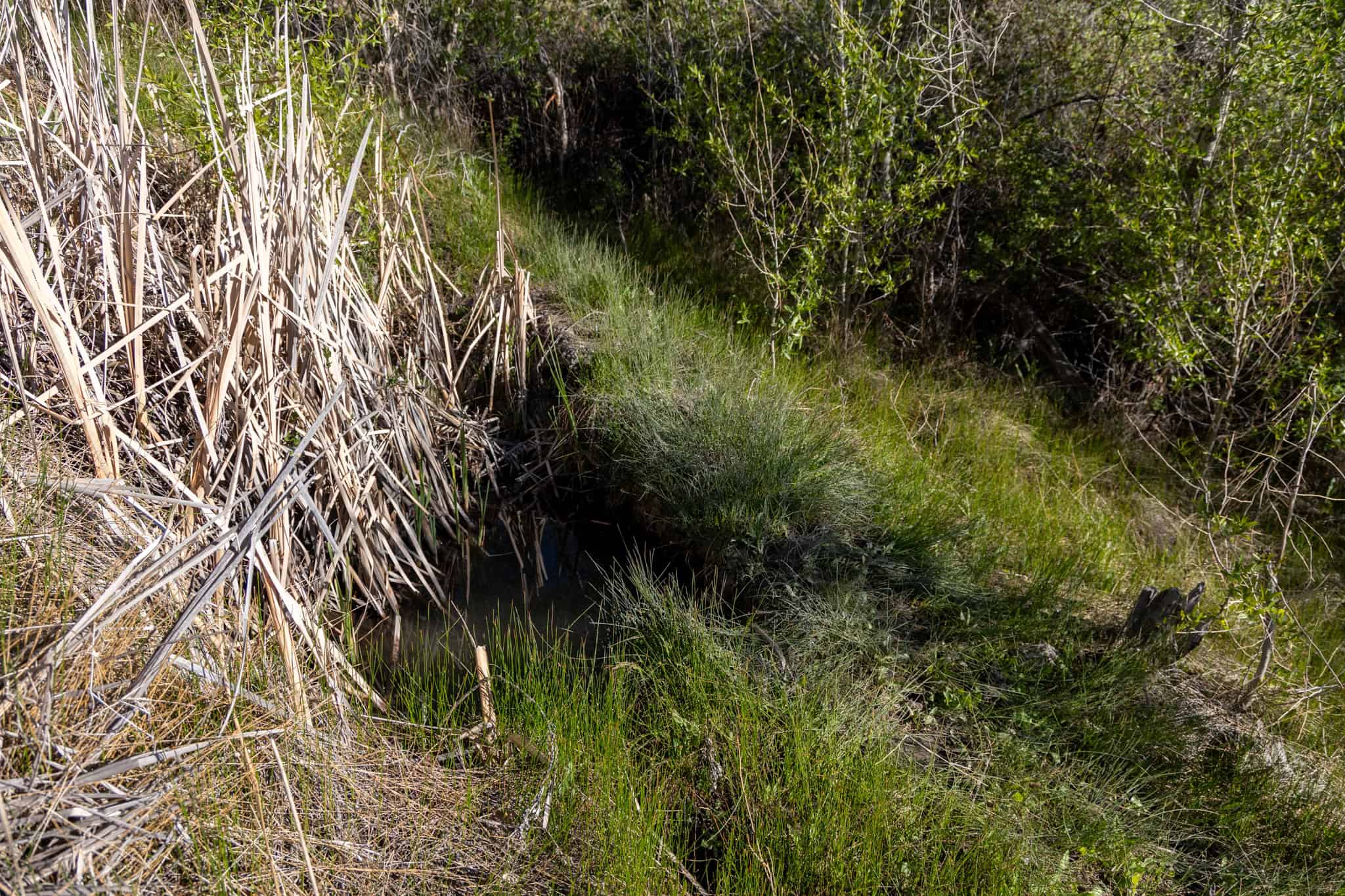 500 Acres Adjacent to BLM – A Secluded Western Colorado Mountain Estate with Water, Views, Wildlife & Unmatched Privacy