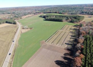 118± Acre Portage County WI Ag and Hunting Property