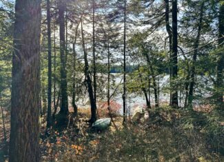 41 Acres with 1330 Ft on Long Lake – Northfield, ME