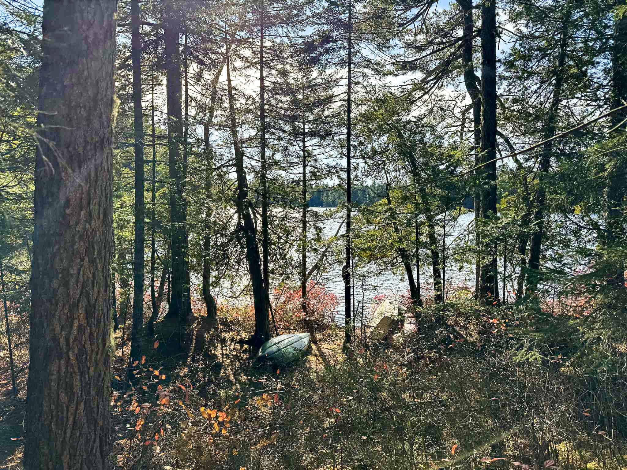 41 Acres with 1330 Ft on Long Lake – Northfield, ME