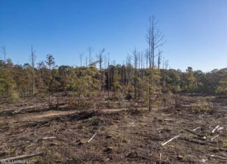 113 Acres of Hunting Land in Liberty, Mississippi