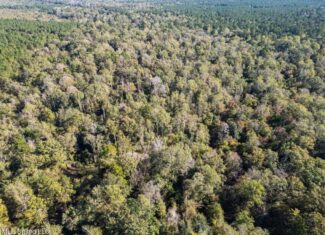 233-Acre Paradise on the Tickfaw River, Osyka, Amite County, MS