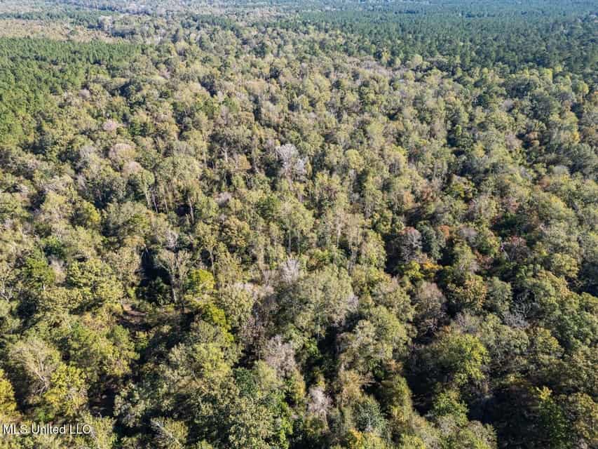 233-Acre Paradise on the Tickfaw River, Osyka, Amite County, MS