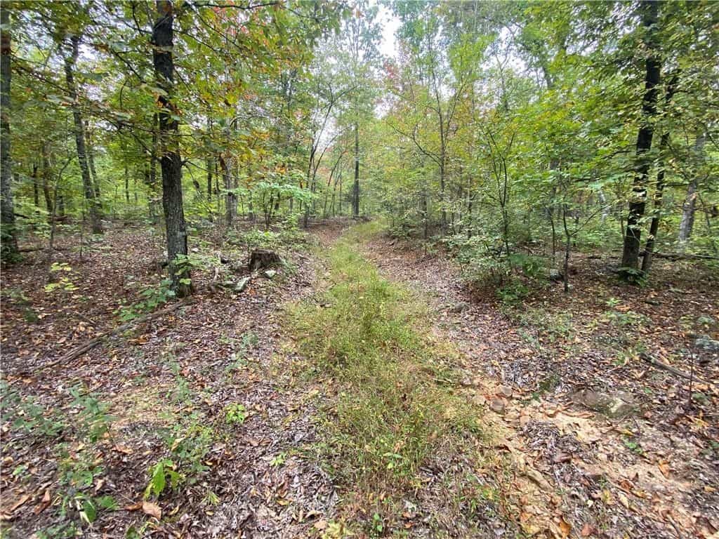 20 Acres Newton County Hunting Timberland For Sale Near Low Gap