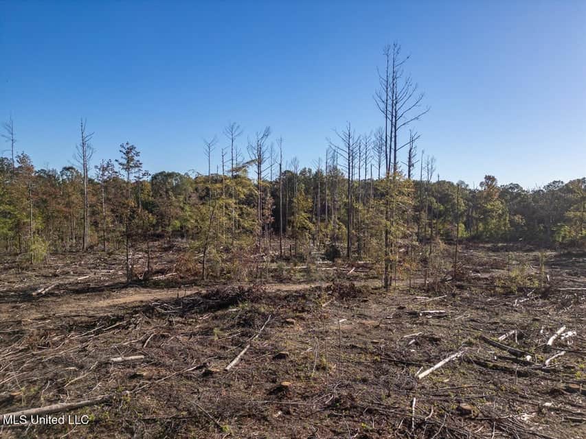 113 Acres of Hunting Land in Liberty, Mississippi