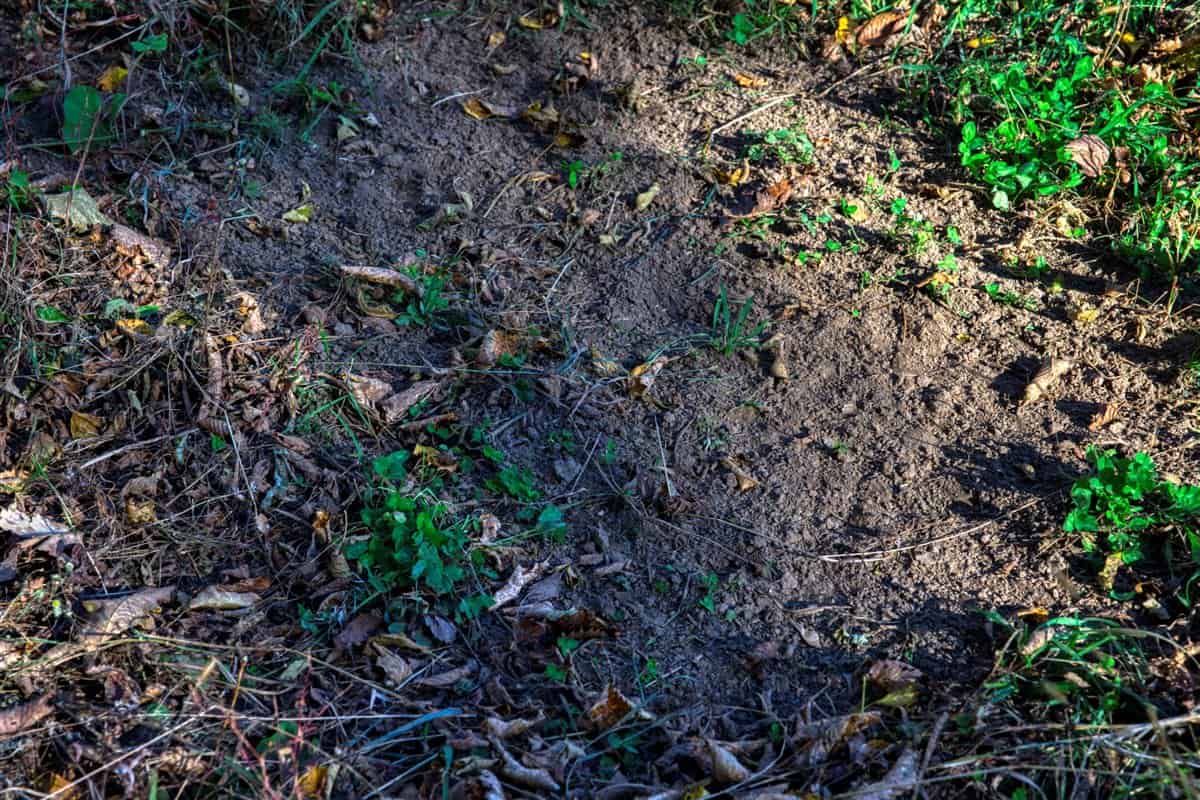 252± Acre Legacy Estate in Trempealeau County WI