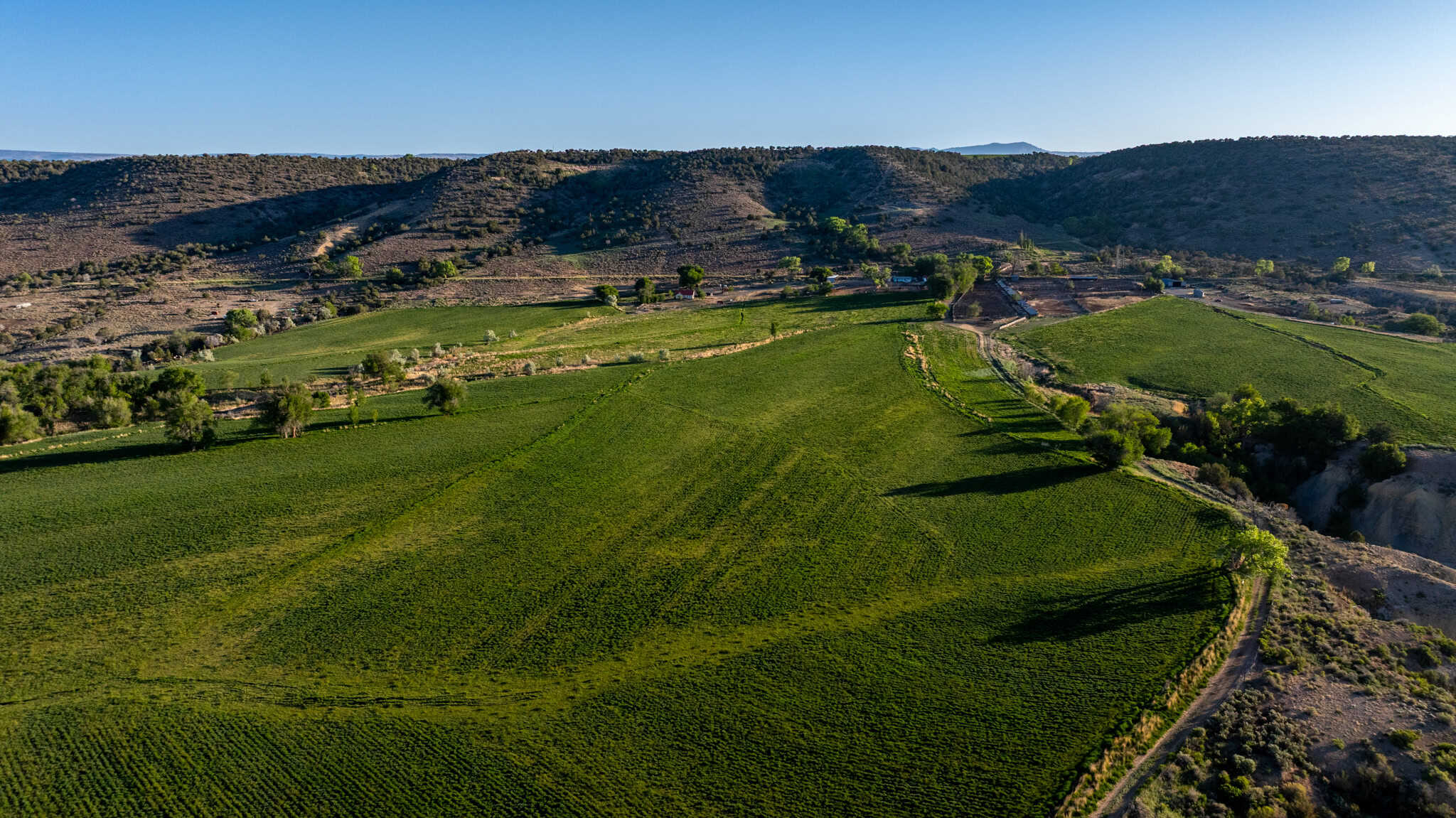 Premier Colorado Property – Shamrock Ranch – Hotchkiss, CO