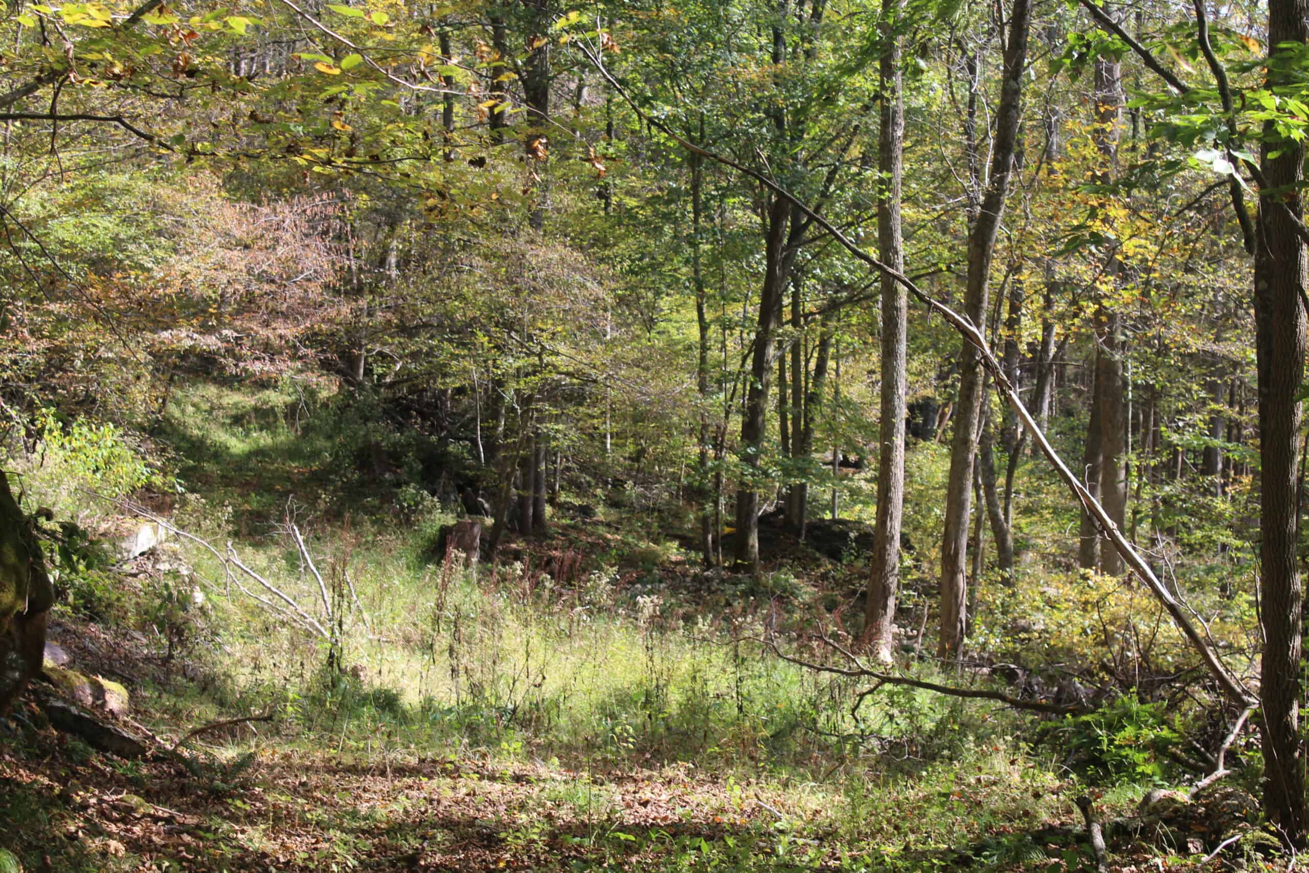 Catskills Hunting and Fishing Land For Sale in New York