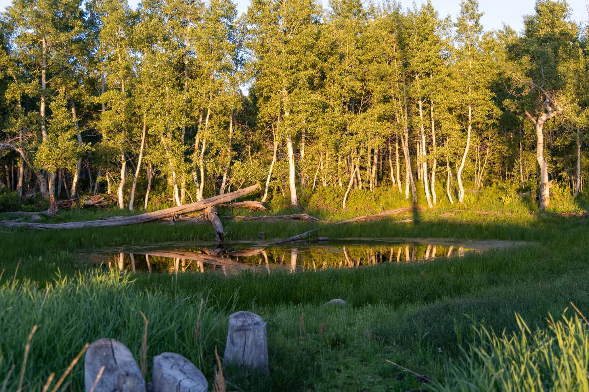 Buckhorn Lakes Ranch Investor Offering – 449± Acres of Premium Mountain Terrain for Sale