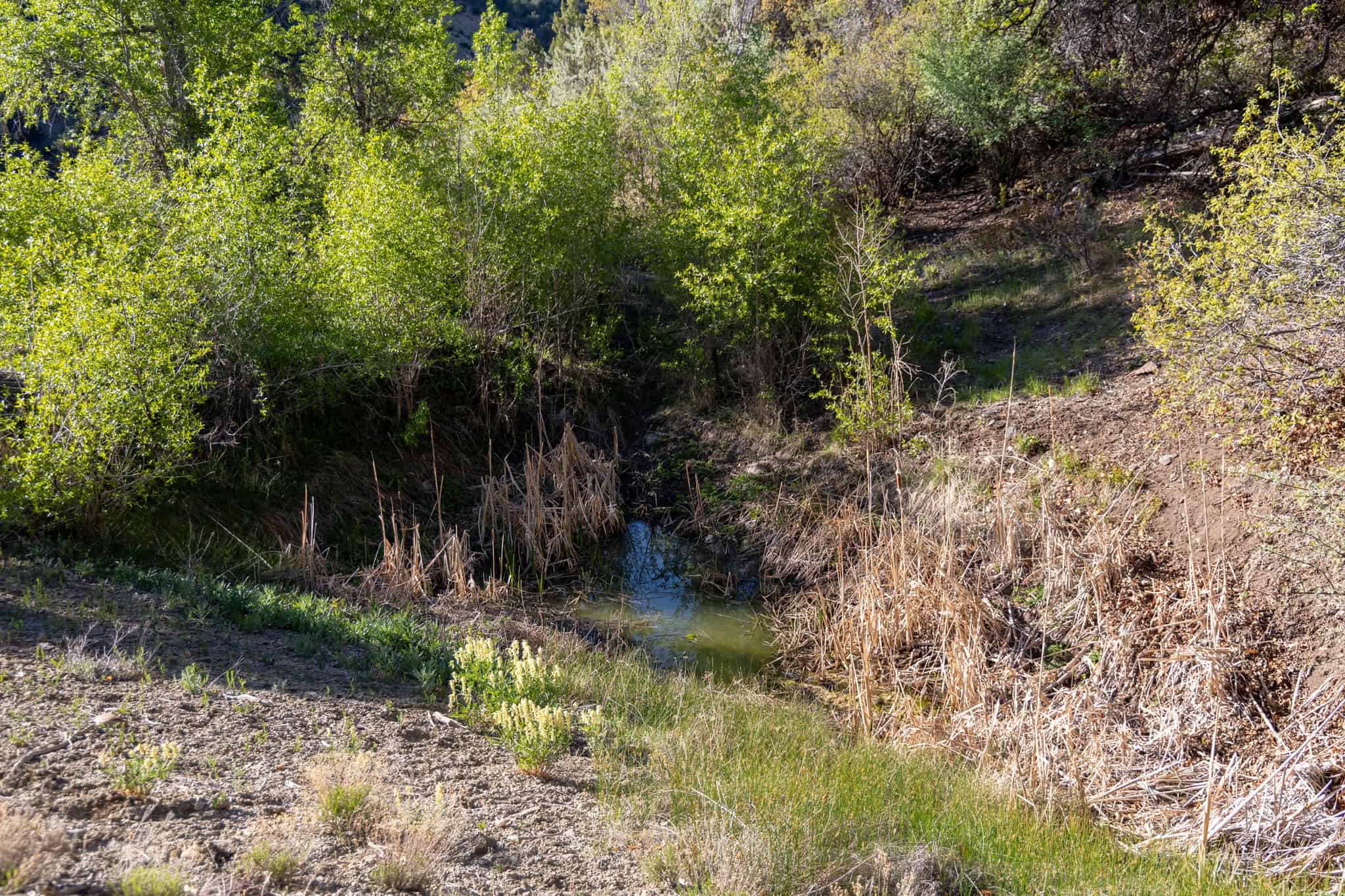 500 Acres Adjacent to BLM – A Secluded Western Colorado Mountain Estate with Water, Views, Wildlife & Unmatched Privacy