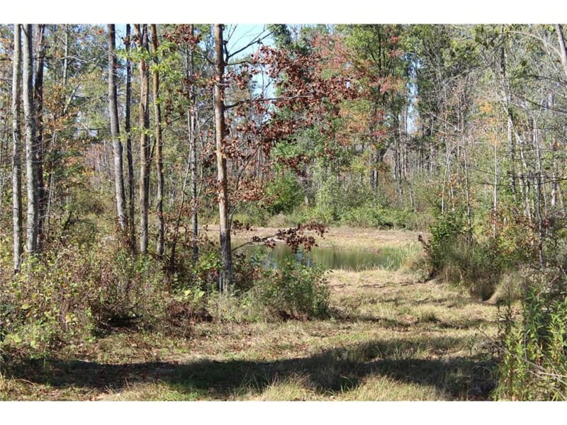 Northwoods Paradise w/ Trails & Ponds For Sale in Isle, MN