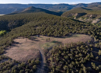 500 Acres Adjacent to BLM – A Secluded Western Colorado Mountain Estate with Water, Views, Wildlife & Unmatched Privacy