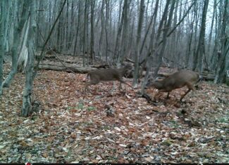 Catskills Hunting and Fishing Land For Sale in New York