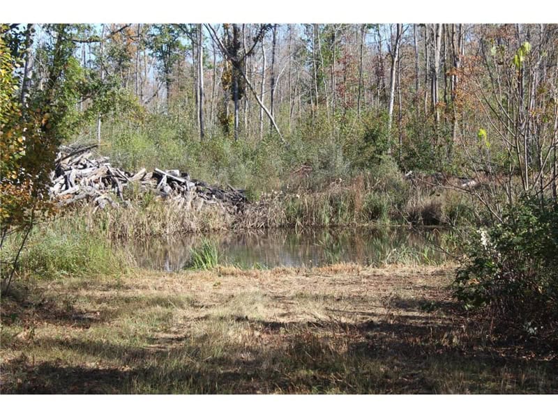 Northwoods Paradise w/ Trails & Ponds For Sale in Isle, MN