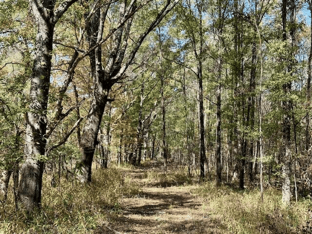 158.8 Acres Creek Frontage Clay County MS