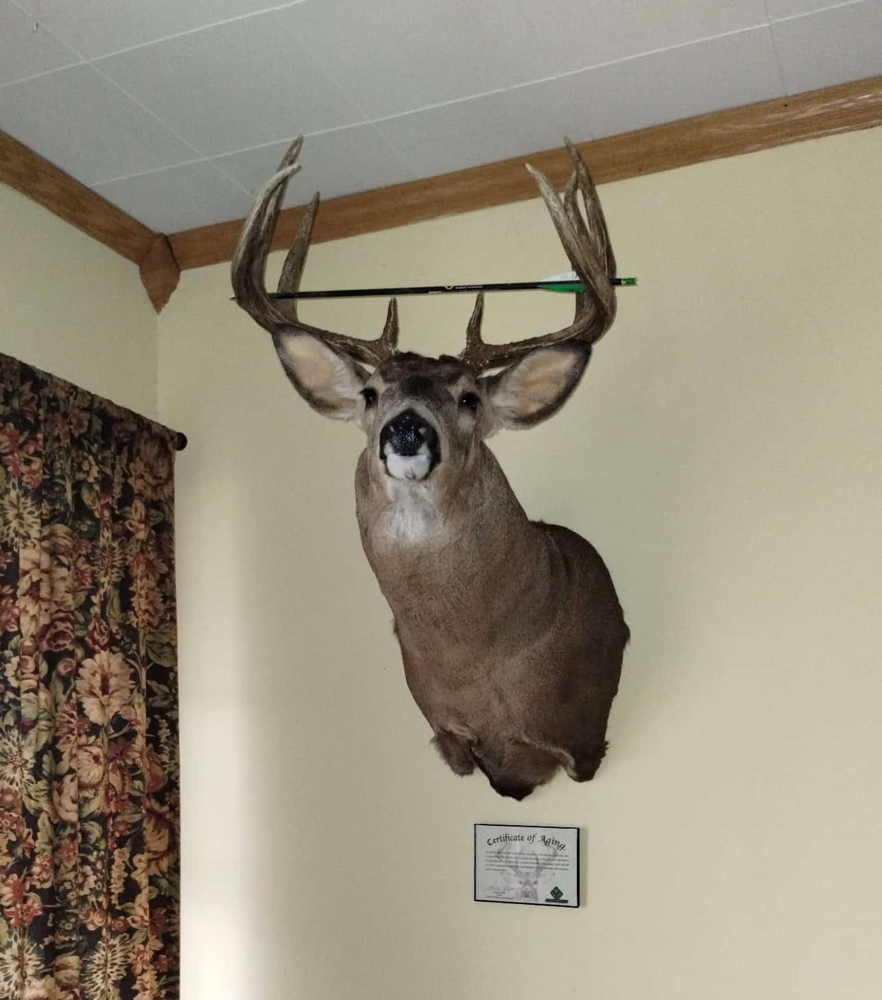 Windy Ridge – Conservation Homestead – 187 ± Acres in Monroe County’s Driftless Area of Wisconsin