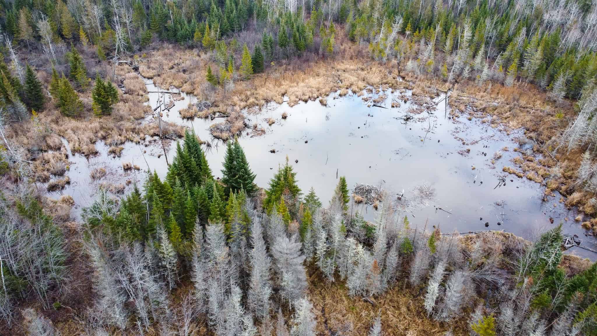 2,000 Sq. Ft. Log Home on 48 Acres  – Milo, Maine