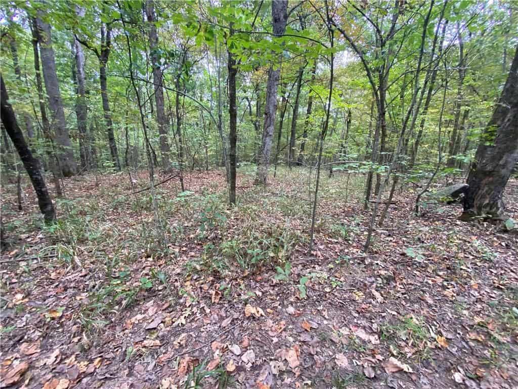 20 Acres Newton County Hunting Timberland For Sale Near Low Gap