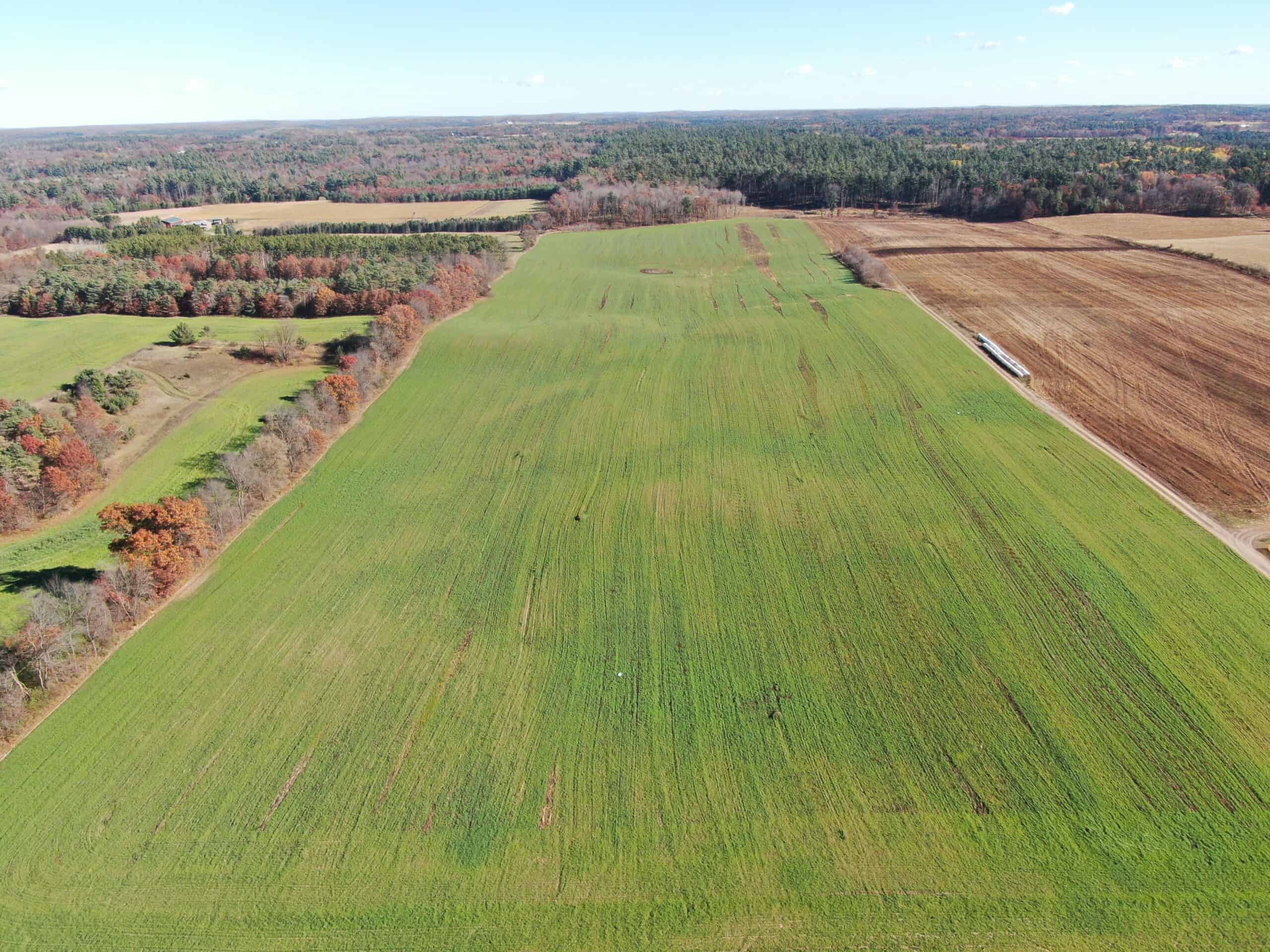 75± Acres of Productive Farmland Property in Portage County, WI