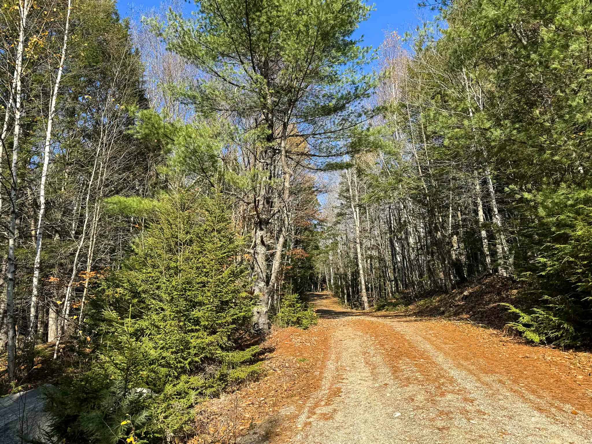 41 Acres with 1330 Ft on Long Lake – Northfield, ME