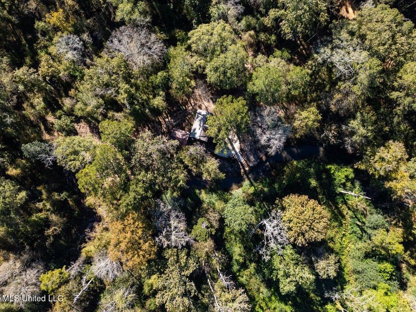 233-Acre Paradise on the Tickfaw River, Osyka, Amite County, MS