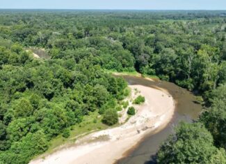 108+- Acres on the Bogue Chitto River Summit, Mississippi