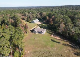 Hunting Land for Sale in Amite County, Mississippi
