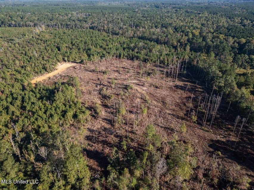 113 Acres of Hunting Land in Liberty, Mississippi