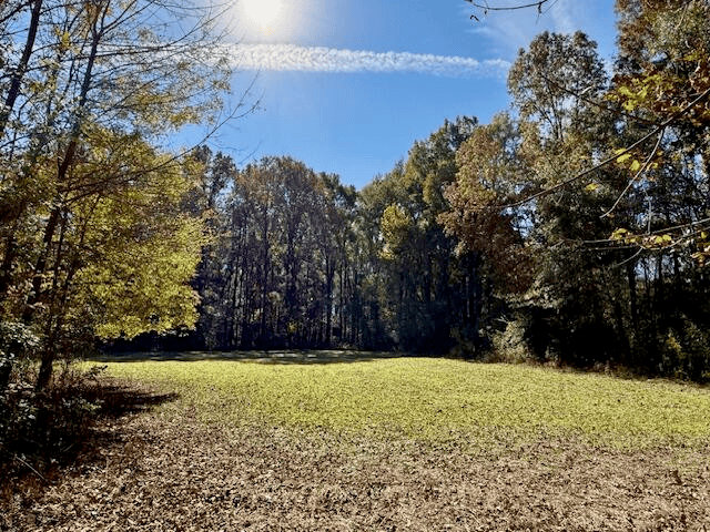 76 Acres For Sale Clay County MS