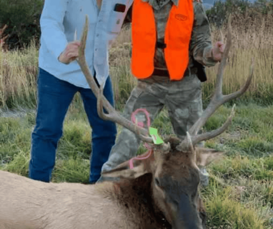 500 Acres Adjacent to BLM – A Secluded Western Colorado Mountain Estate with Water, Views, Wildlife & Unmatched Privacy